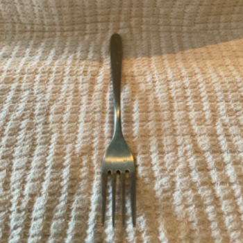 Physical Image of an Fork