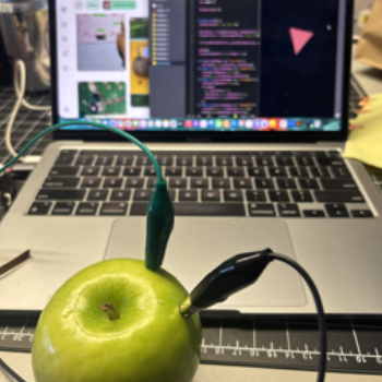 I was inspired by the banana circuit in week 10 so I tried replicating it with an apple, just to play around.